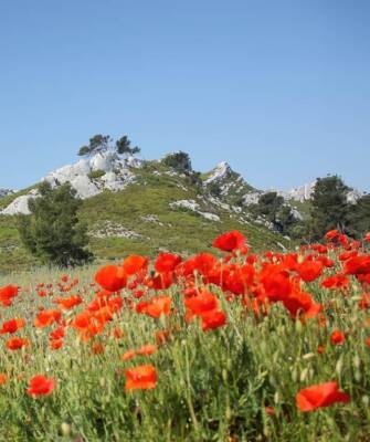 camping-sud-france-randonnees-inspi-th